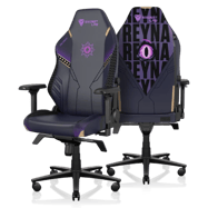 Secretlab Titan Evo Reyna Edition